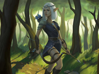 Elf  Woman Archer Warrior wallpaper