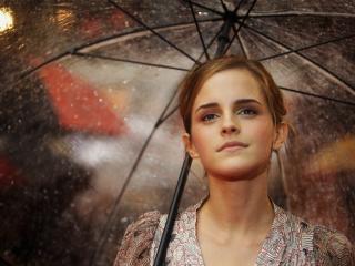 Emma Watson In Movie Pic wallpaper