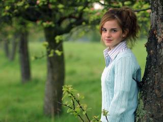 Emma Watson With Tree  wallpaper