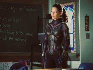 Evangeline Lilly From Ant-Man and the Wasp 2018 wallpaper