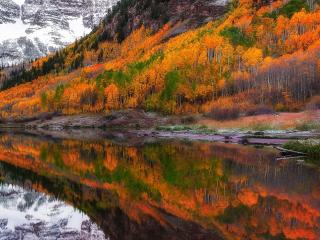 Fall Foliage Forest Lake Nature Reflection wallpaper