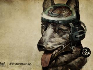 fallout, quote, dog Wallpaper