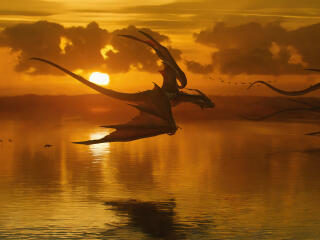 Fantasy Dragon HD Flying Digital wallpaper