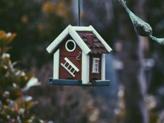 feeder, bird, house wallpaper