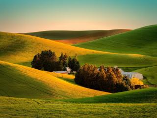 field, grass, landscape wallpaper