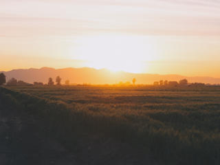field, grass, sunset Wallpaper