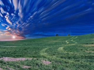 field, horizon, sky wallpaper