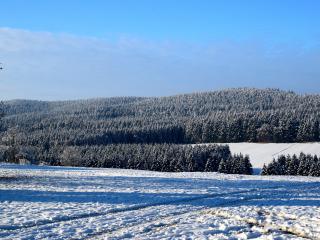 field, winter, snow Wallpaper