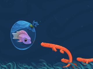fish, underwater, swimming wallpaper