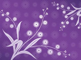 flowers, leaves, purple Wallpaper