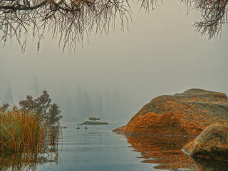 Foggy Lake Wallpaper