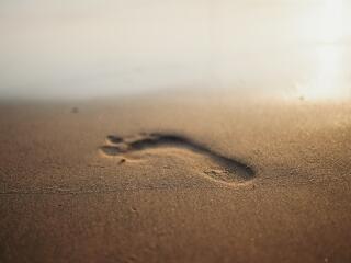 Footprints in the Sand wallpaper
