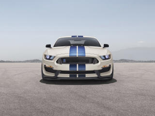 Ford Mustang Shelby GT350 wallpaper