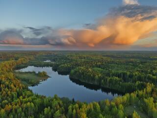 Forest Landscape HD Aerial View wallpaper