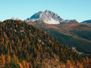 Forest Mountains And Landscape Fall Wallpaper