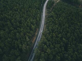 Forest Road Aerial 4k Photography 2022 wallpaper