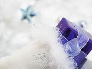 gift, ribbon, feathers wallpaper