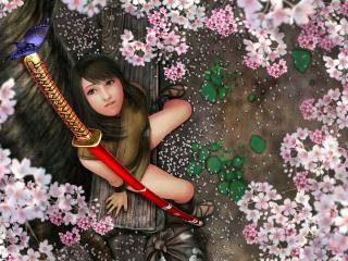 girl, sword, butterfly Wallpaper