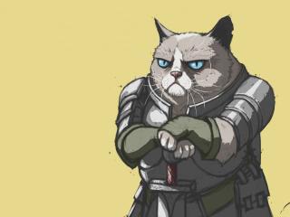 grumpy cat, armor, meme wallpaper