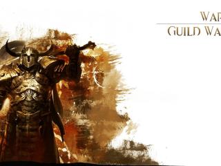 guild wars 2, warrior, sword wallpaper