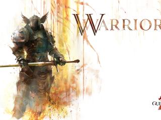 guild wars 2, warrior, sword Wallpaper