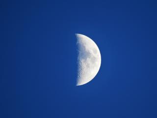 Half Moon In Blue Night wallpaper