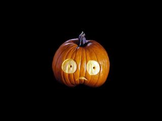 halloween, a pumpkin, jacks lantern wallpaper