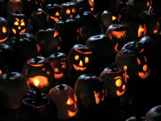 halloween, pumpkins, jacks lanterns wallpaper