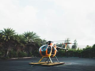 helicopter, area, palm trees wallpaper