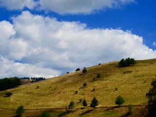 hill, grass, sky wallpaper