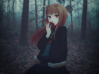 Holo Spice and Wolf wallpaper