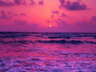 Horizon Pink Sunset Near Sea wallpaper