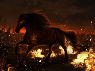 horse, fire, field wallpaper