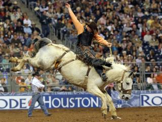 houston, houston livestock show and rodeo, rodeo Wallpaper
