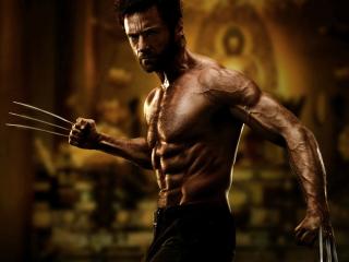 Hugh Jackman Awesome Wolverine wallpaper wallpaper