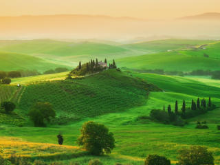italy, tuscany, field wallpaper