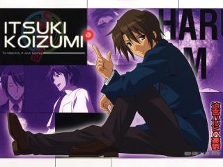 itsuki koizumi, boy, brunette wallpaper