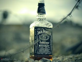 jack daniels, whiskey, alcohol wallpaper