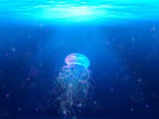 jellyfish, underwater world, swim Wallpaper