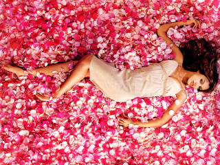 Jessica Alba Laying on Roses wallpaper wallpaper
