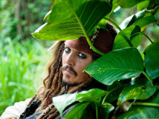 Johnny Depp in Pirate Look wallpaper