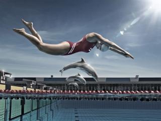 jump, girl, dolphins wallpaper