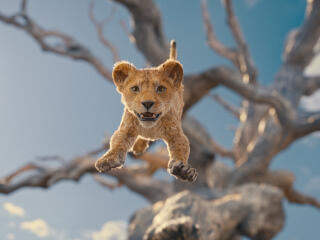 Jump Leap of Mufasa HD The Lion King wallpaper