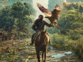 Kingdom of the Planet of the Apes 2024 Movie wallpaper