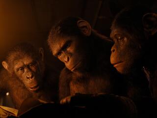 Kingdom of the Planet of the Apes 2024 wallpaper
