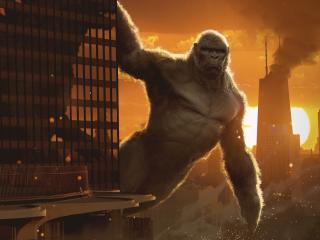 Kong Vs Godzilla 2020 Art wallpaper