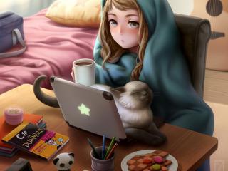 kotikomori, laptop, cat wallpaper