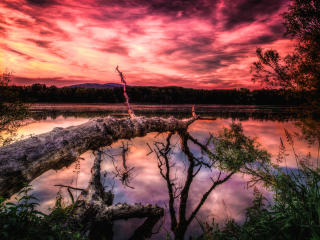 lake, sunset, trees wallpaper