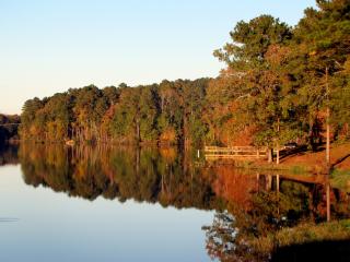 lake, trees, autumn wallpaper