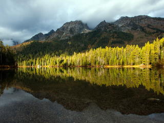 lake, trees, reflection wallpaper